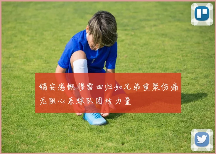 锡安感慨穆雷回归如兄弟重聚伤痛无阻心系球队团结力量