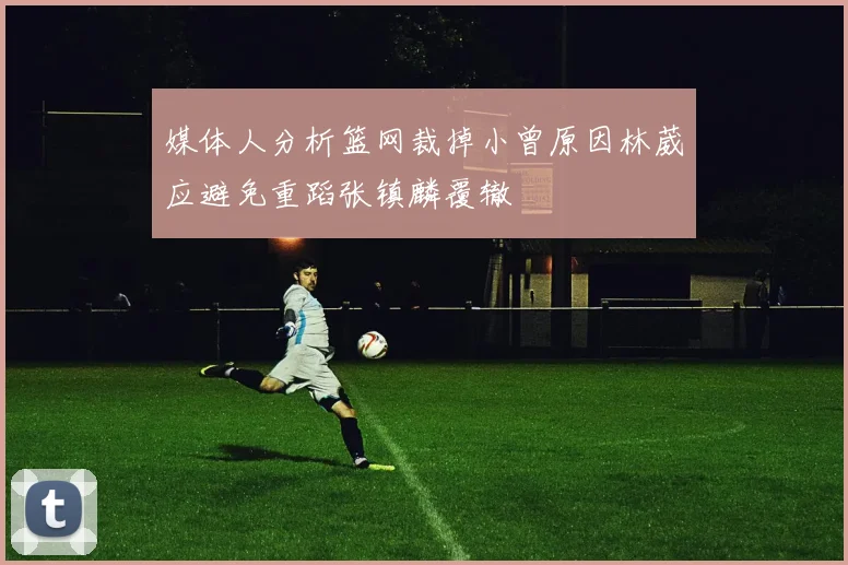 媒体人分析篮网裁掉小曾原因林葳应避免重蹈张镇麟覆辙