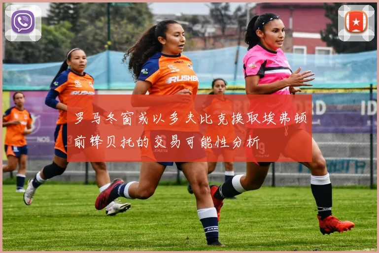 罗马冬窗或以多夫比克换取埃弗顿前锋贝托的交易可能性分析