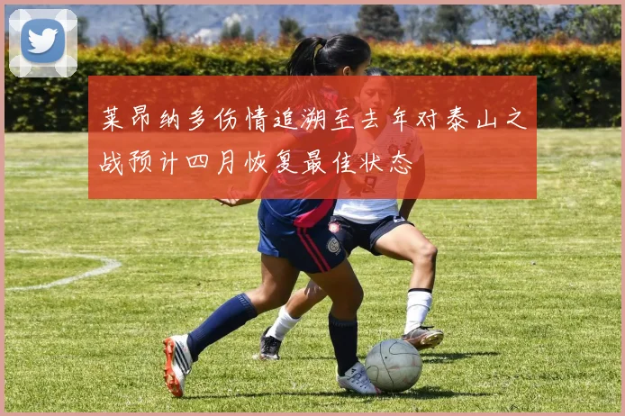 莱昂纳多伤情追溯至去年对泰山之战预计四月恢复最佳状态