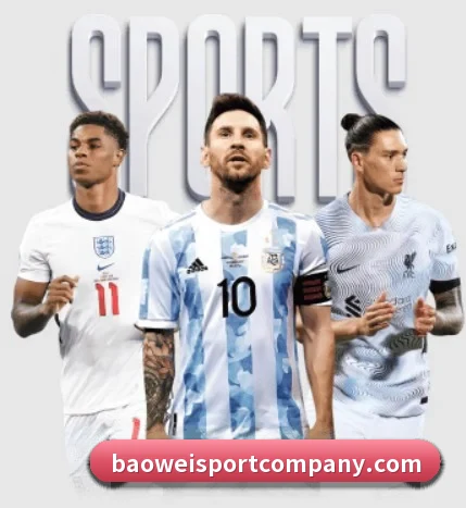 宝威体育 APP - BOWWAYSPORTS