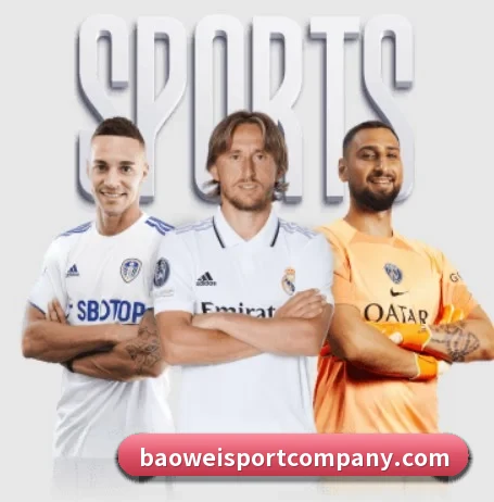 宝威体育 APP 界面 | BOWWAYSPORTS